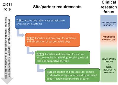 A One Medicine Mission for an Effective Rabies Therapy